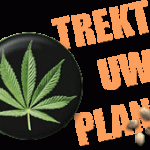 TREKTUWPLANT.BE