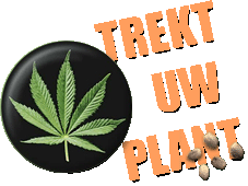 TREKTUWPLANT.BE