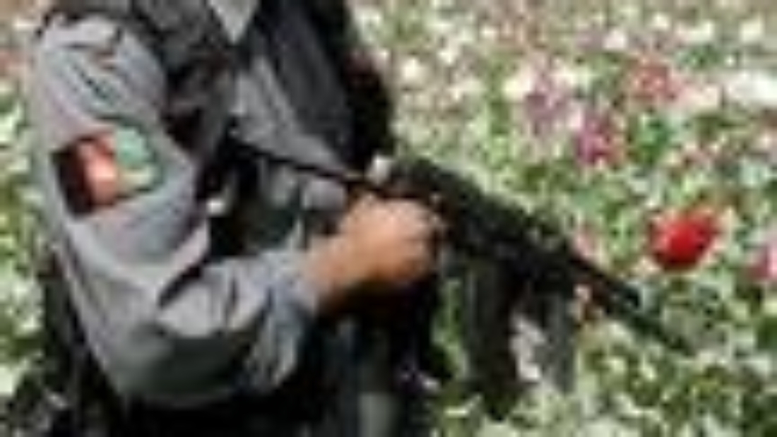 arton1018
