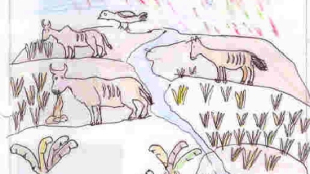 FUMIGACIONES EN COLOMBIA