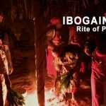 ibogaine_banner4-2.jpg