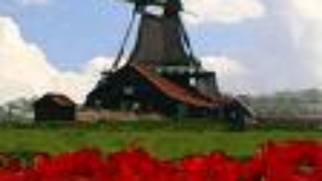 arton1268
