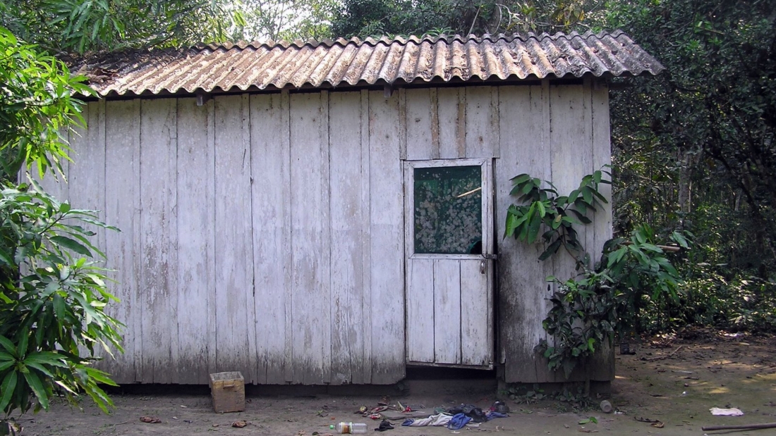 chapare.jpg