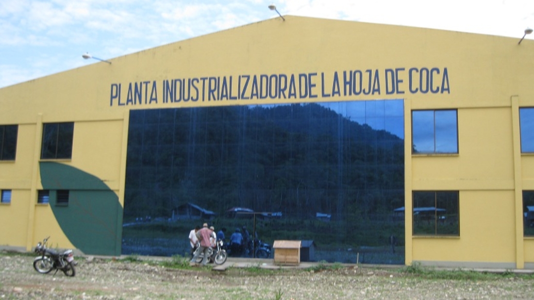 plantakl.jpg