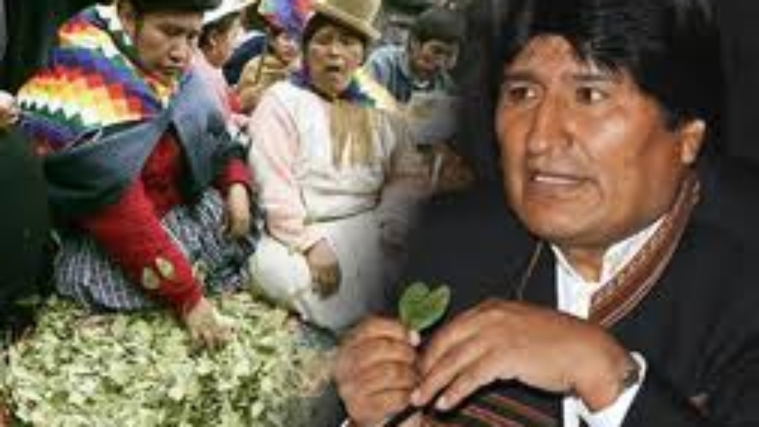 pijchu_mujer_-evo.jpg