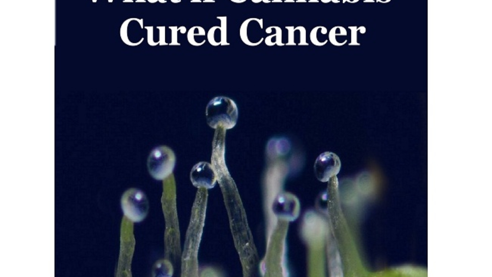 CURECANCER1.jpg