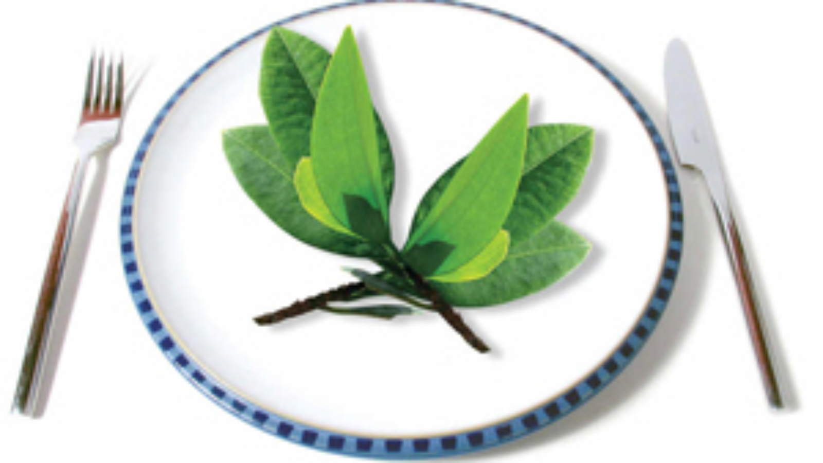 plato-de-coca.jpg