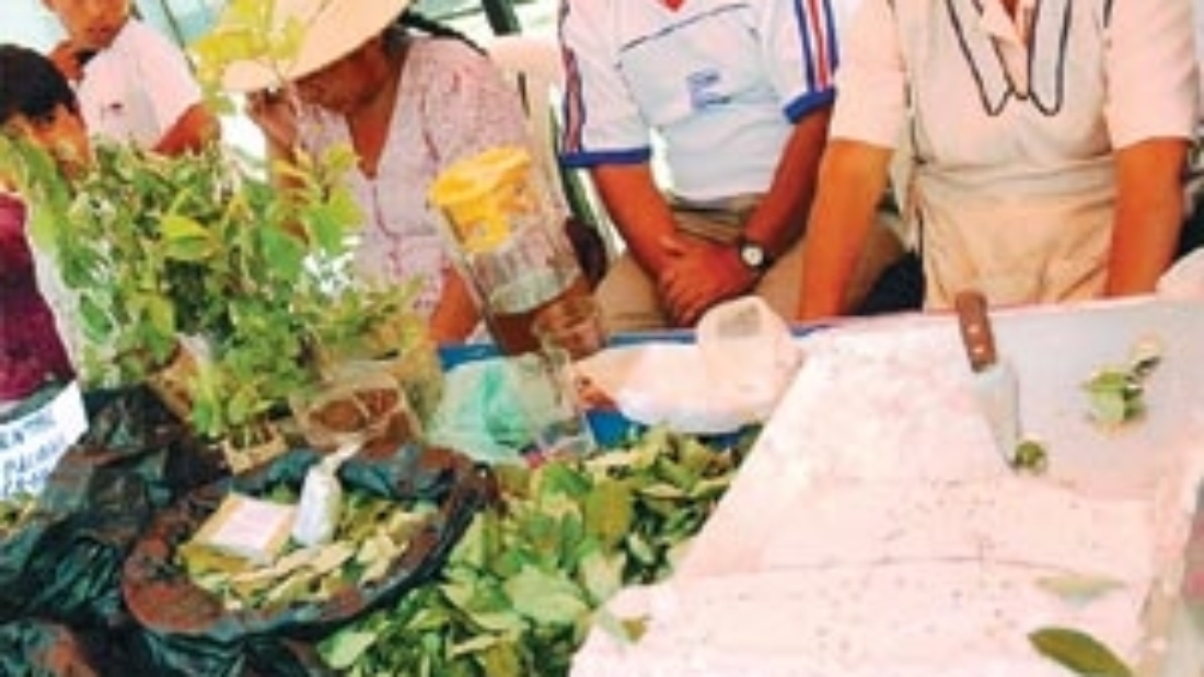 segunda_feria_coca.jpg