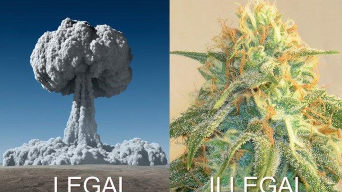 legalillegal.jpg