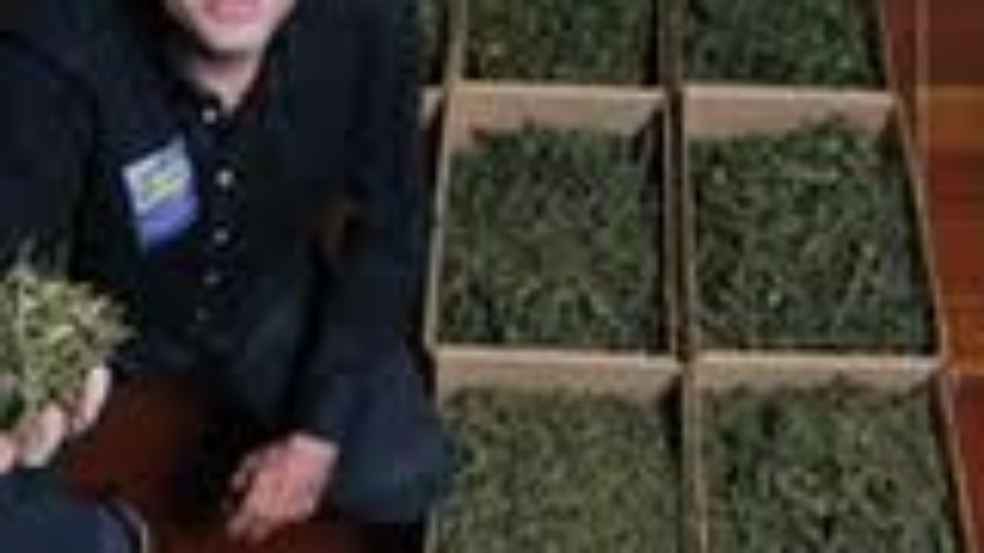 arton3778-f2366.jpg