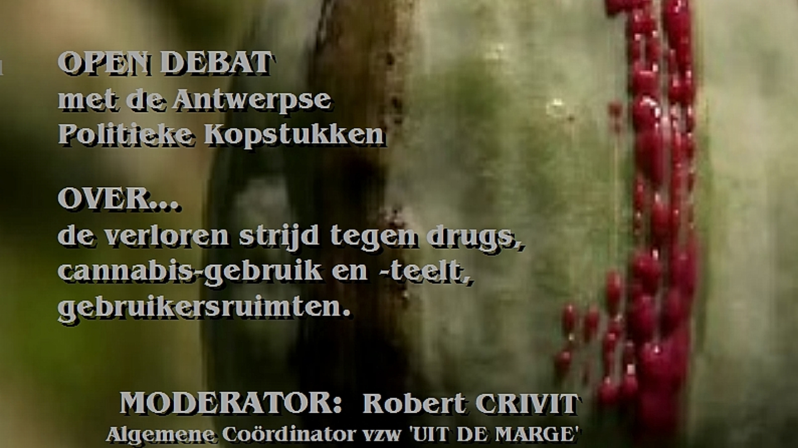goaflyer_afgewerkt-1.jpg
