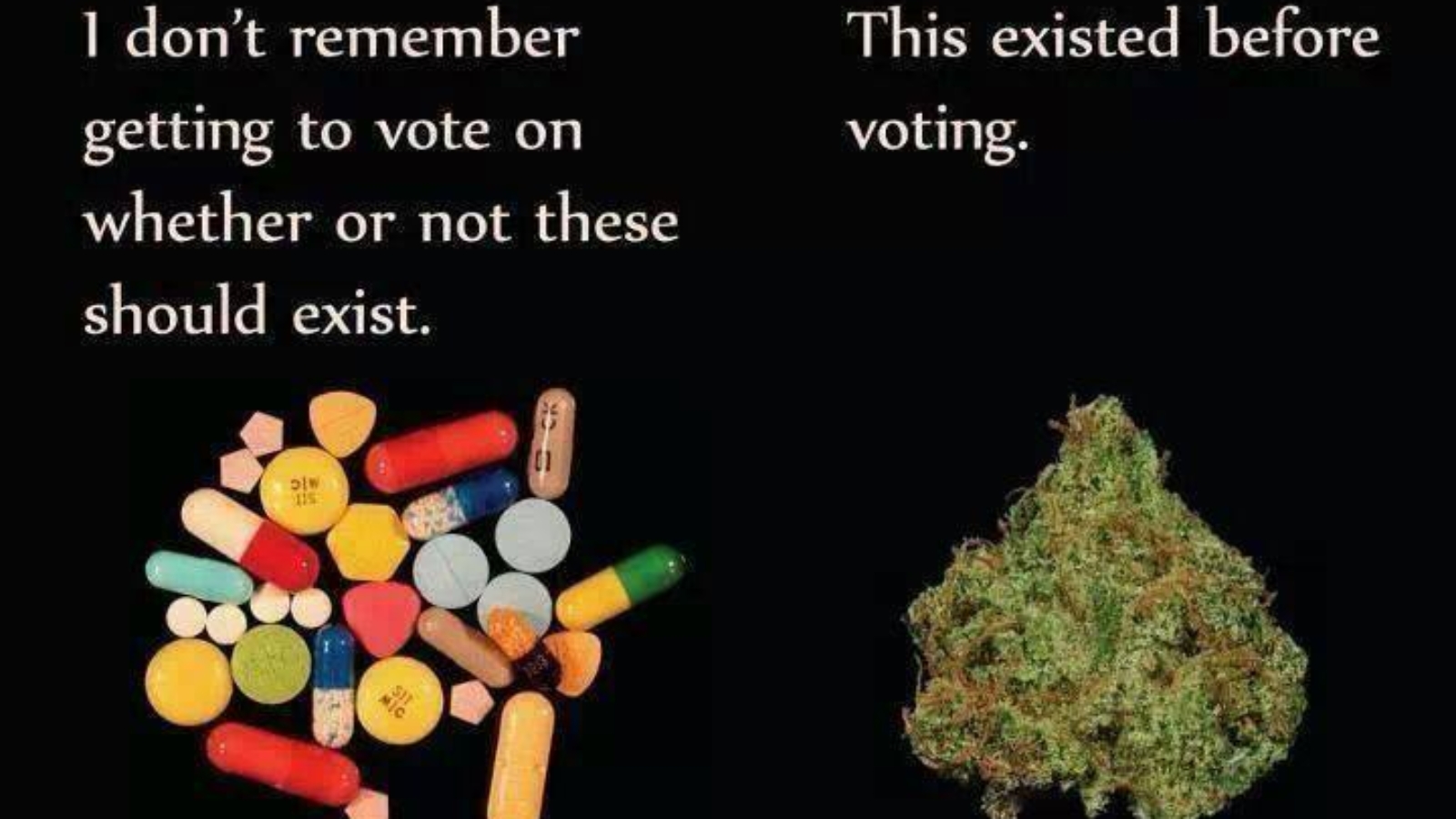 voting.jpg