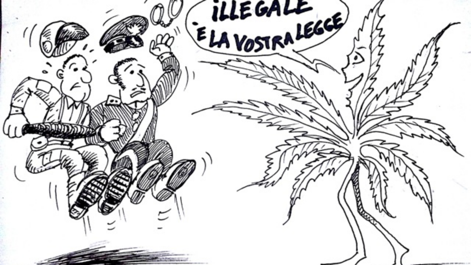 illegalelalegge_copia.png