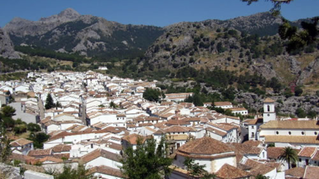 arton4920