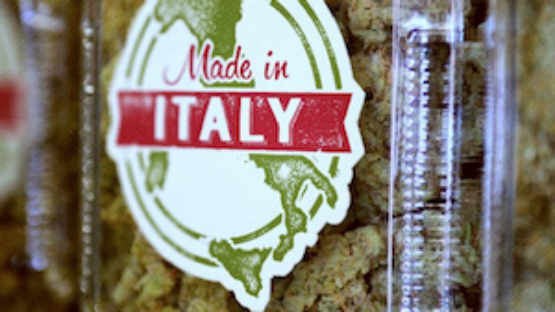weed-made-in-italy.png