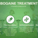 ibogaine-treatment.jpg