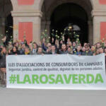 concentracion-de-la-rosa-verda-1080.jpg