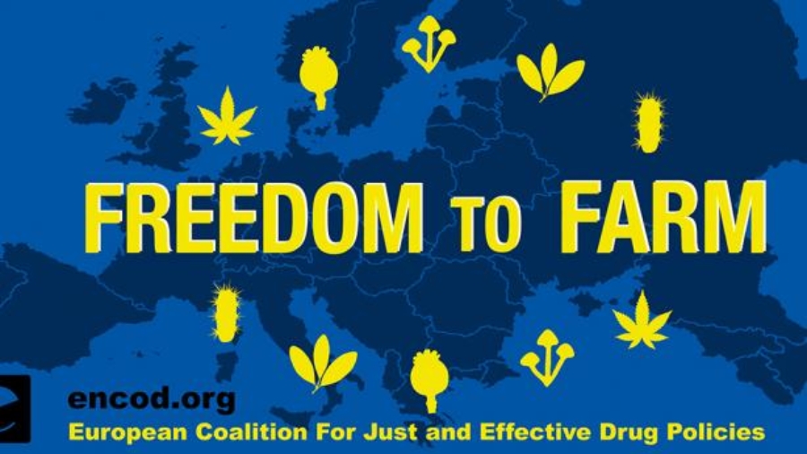 2019-Banner-150x300-04-1080px-web-614x346