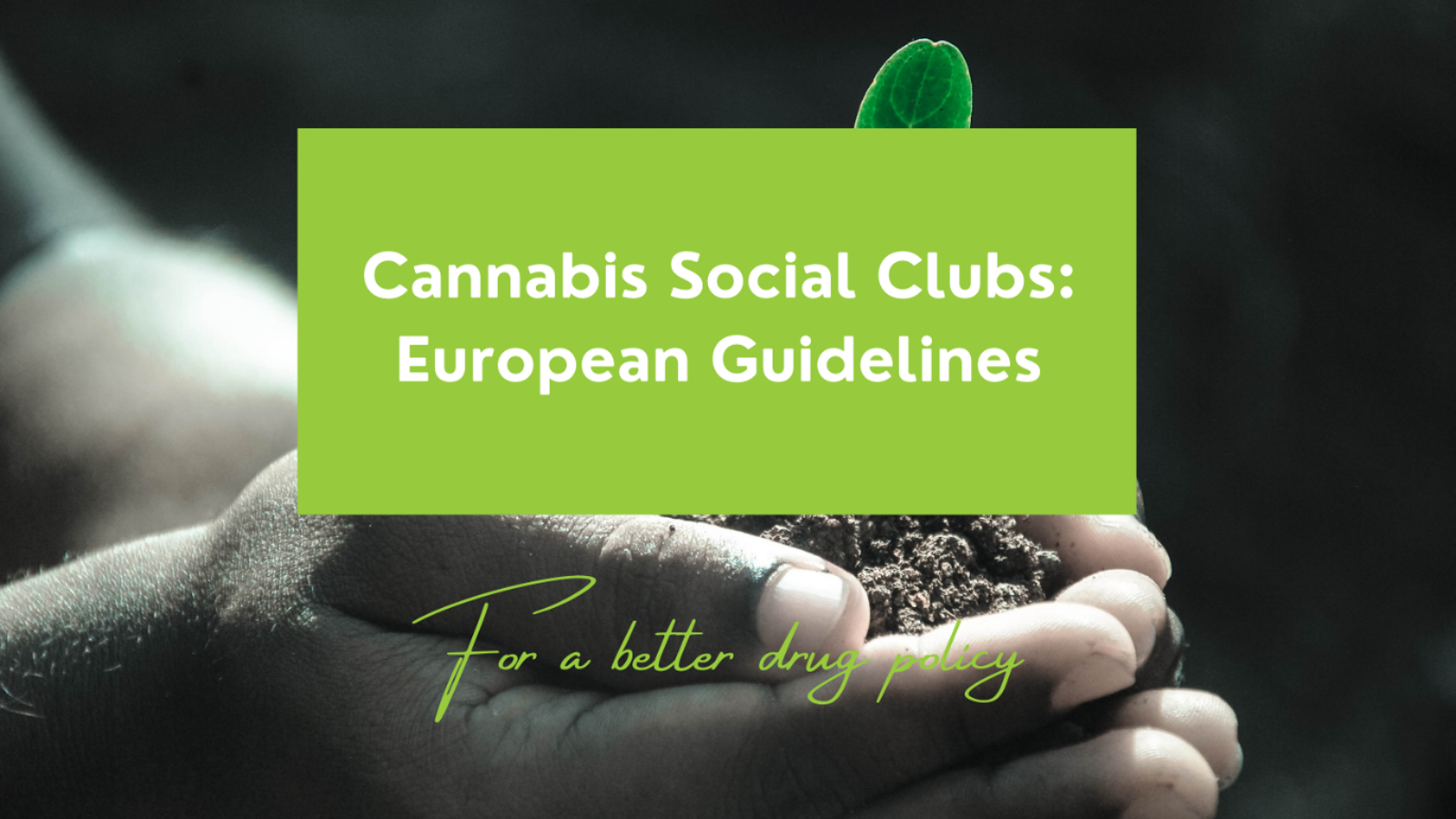 For a better drug policy1