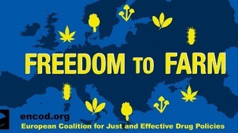 2022 Banner 1080_without borders_small