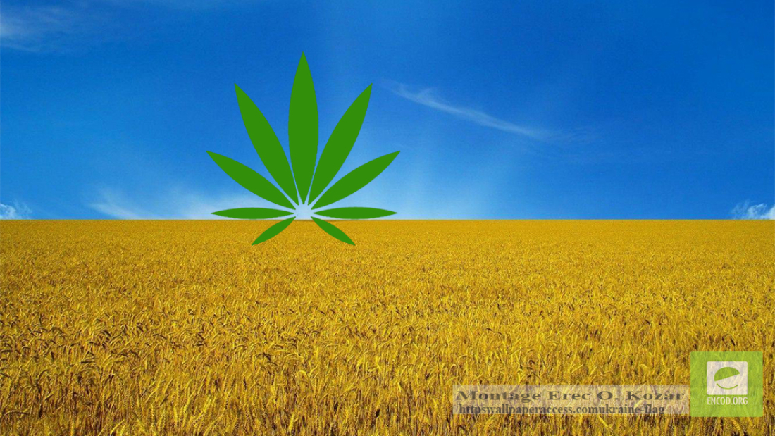 Ukraine Medical Cannabis 01c