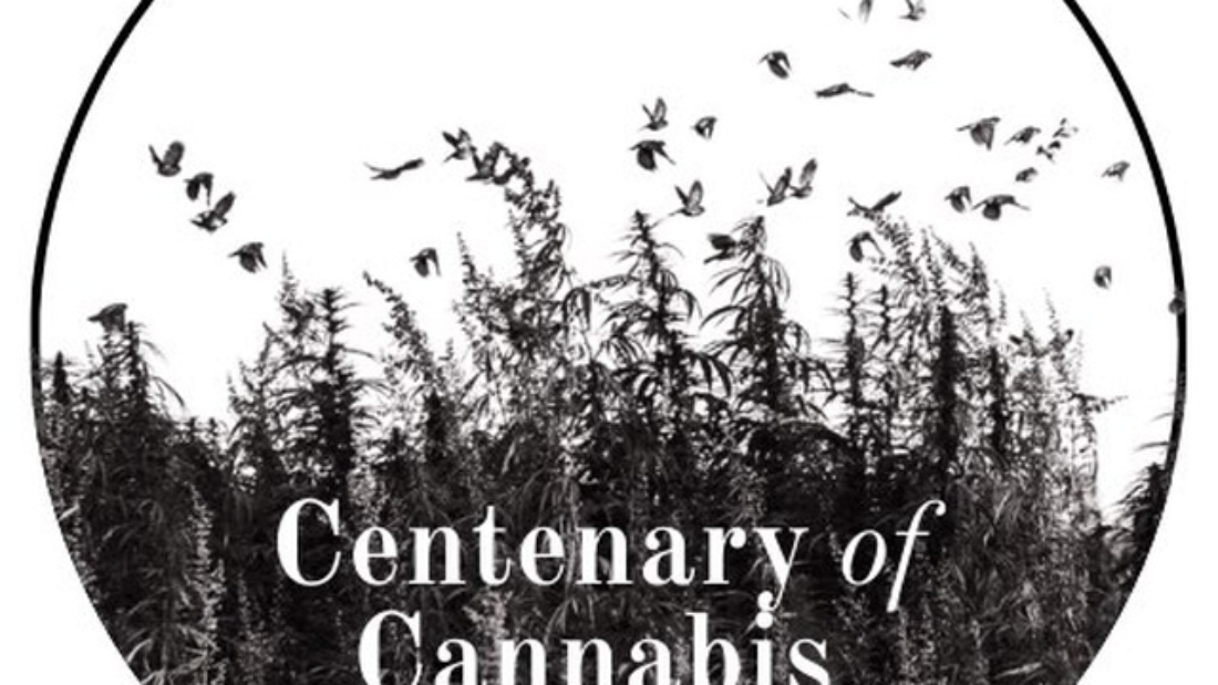LOGO centenary of Cannabis Prohibition 1925-2025