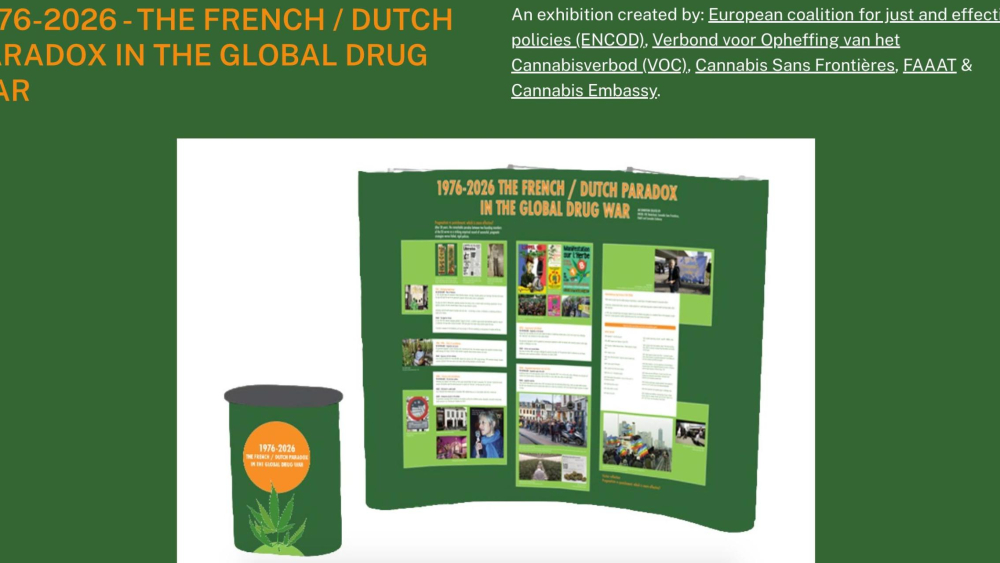 Exhibition Website frenchdutchparadox.org