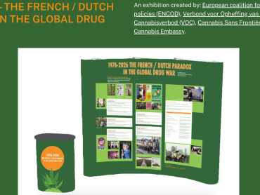 Exhibition Website frenchdutchparadox.org