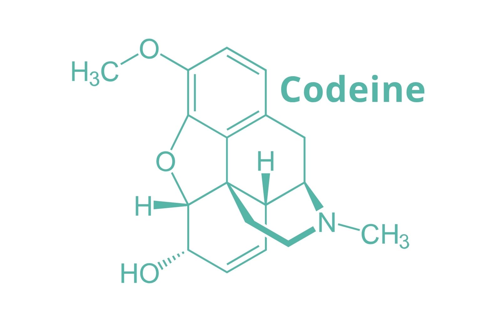 Encode - Codeine